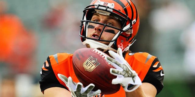 Nov 17, 2013; Cincinnati, OH, USA; Cincinnati Bengals tight end Tyler Eifert (85) warms up before the game against the Cleveland Browns at Paul Brown Stadium. Cincinnati won 41-20. Mandatory Credit: Kevin Jairaj-USA TODAY Sports