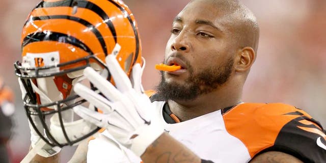 GLENDALE, AZ - AUGUST 24: Defensive tackle Devon Still #75 of the Cincinnati Bengals on the sidelines during the preseason NFL game against the Arizona Cardinals at the University of Phoenix Stadium on August 24, 2014 in Glendale, Arizona. The Bengals defeated the Cardinals 19-13. (Photo by Christian Petersen/Getty Images) *** Local Caption *** Devon Still