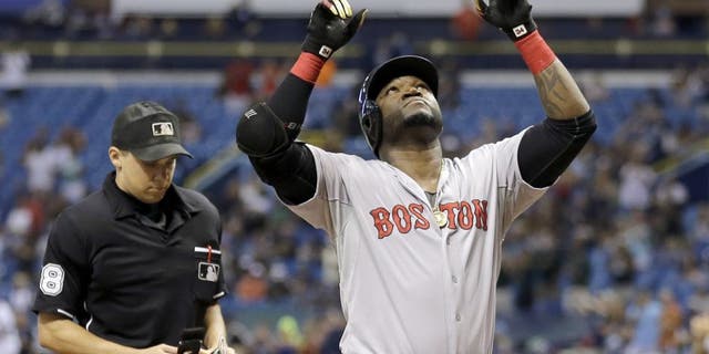 Boston Red Sox's David Ortiz reacts after hitting his 500th career home run off Tampa Bay Rays starting pitcher Matt Moore during the fifth inning of a baseball game Saturday, Sept. 12, 2015, in St. Petersburg, Fla. looking on is home plate umpire Adam Hamari. (AP Photo/Chris O'Meara)