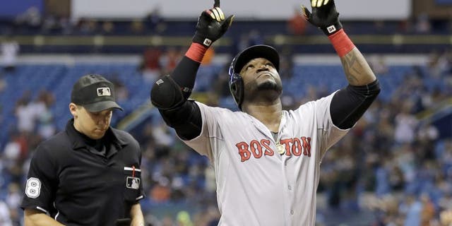 Boston Red Sox's David Ortiz reacts after hitting his 500th career home run off Tampa Bay Rays starting pitcher Matt Moore during the fifth inning of a baseball game Saturday, Sept. 12, 2015, in St. Petersburg, Fla. looking on is home plate umpire Adam Hamari. (AP Photo/Chris O'Meara)