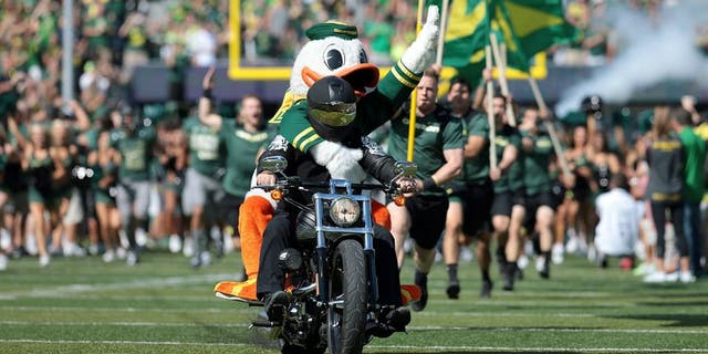 Sep 13, 2014; Eugene, OR, USA; Oregon Ducks mascot rides on the back of a motorcycle before the game Wyoming Cowboys at Autzen Stadium. Mandatory Credit: Scott Olmos-USA TODAY Sports