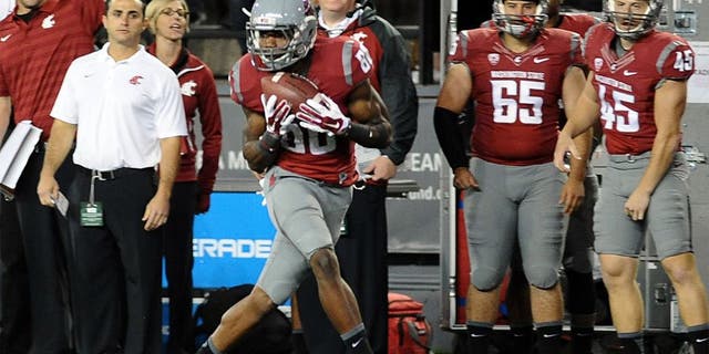 Sep 13, 2014; Pullman, WA, USA; Washington State Cougars wide receiver Dom Williams (80) makes a catch that would turn into a touchdown against the Portland State Vikings during the second half at Martin Stadium. The Cougar beat Vikings 59-21. Mandatory Credit: James Snook-USA TODAY Sports
