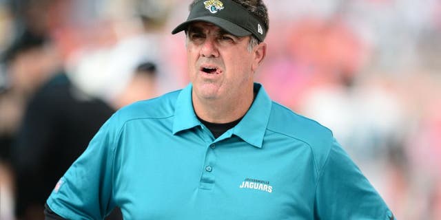 Oct 13, 2013; Denver, CO, USA; Jacksonville Jaguars defensive coordinator Bob Babich during the game against the Denver Broncos at Sports Authority Field at Mile High. The Broncos defeated the Jaguars 35-19. Mandatory Credit: Ron Chenoy-USA TODAY Sports