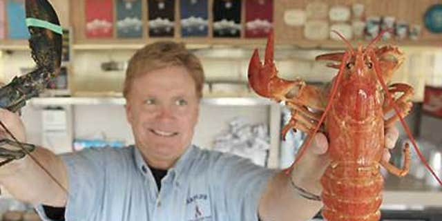 Nathan Nickerson, owner of Arnold's Lobster and Clam Bar, holds up a rare "yellow lobster."