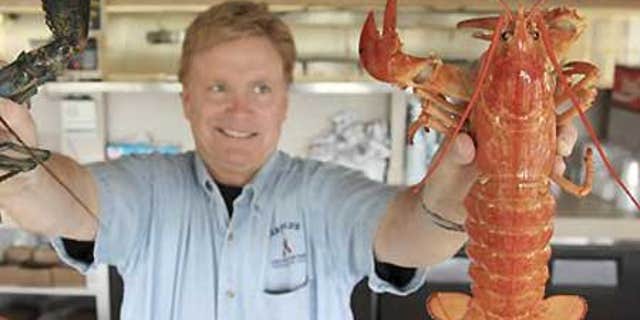 Nathan Nickerson, owner of Arnold's Lobster and Clam Bar, holds up a rare "yellow lobster."