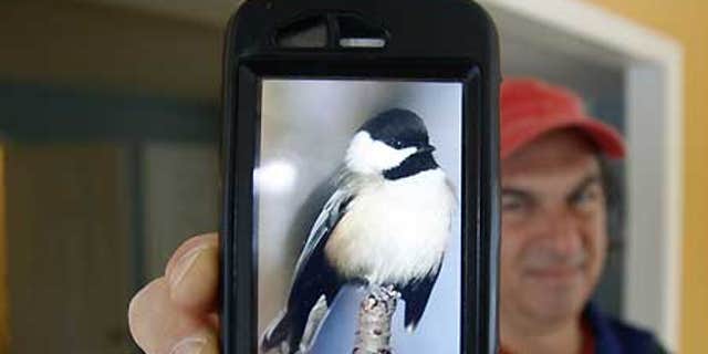 Dec. 8: Jory Langner shows off the BirdsEye application on his iPhone in Delmar, N.Y.