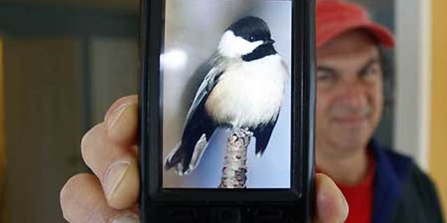 Dec. 8: Jory Langner shows off the BirdsEye application on his iPhone in Delmar, N.Y.