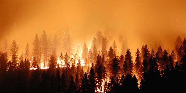 We need to handle the financial crisis like it's a forest fire