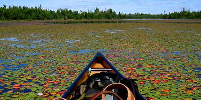 The view from a canoe in the Boundary Waters Canoe Area Wilderness in northern Minnesota.