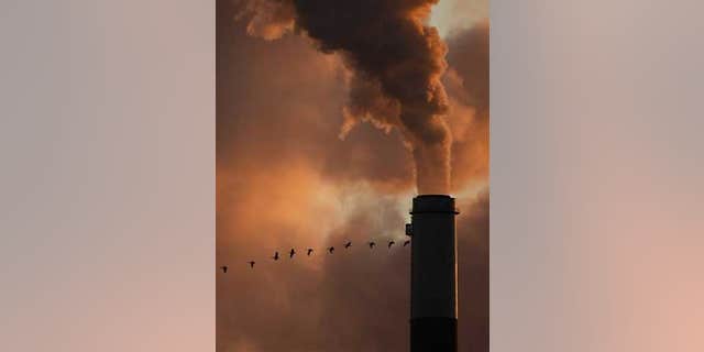 Flock of geese fly past a smokestack at a Kansan coal power plant.