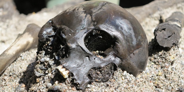 A mass grave uncovered at the Alken Enge wetlands in Jutland, Denmark is giving archaeologists a glimpse into the gruesome post-war practices of Germanic armies.