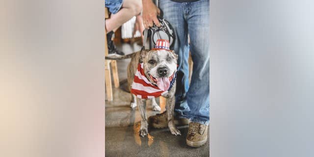 Winx is "loving and caring,” Patrol Officer Timothy Elliot, the dog's new owner, said.