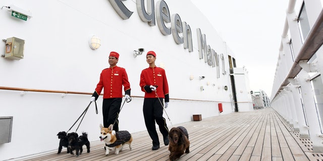 can dogs travel on cruises