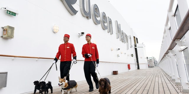 Pampered pooches prepare to board the Queen Mary 2 at the Brooklyn Cruise Terminal.