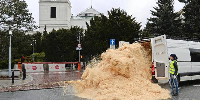 Greenpeace activists unload a cargo of sawdust in front of the Polish parliament in a protest against a law that lifts control of logging trees on private properties, in Warsaw, Poland, Thursday, April 27, 2017. (AP Photo/Alik Keplicz)