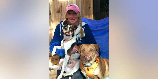 His new owner, Liesl Wilhardt, runs the non-profit Luvable Dog Rescue and also owns Picasso, a corgi pit bull mix with a twisted jaw, along with seven other pups.