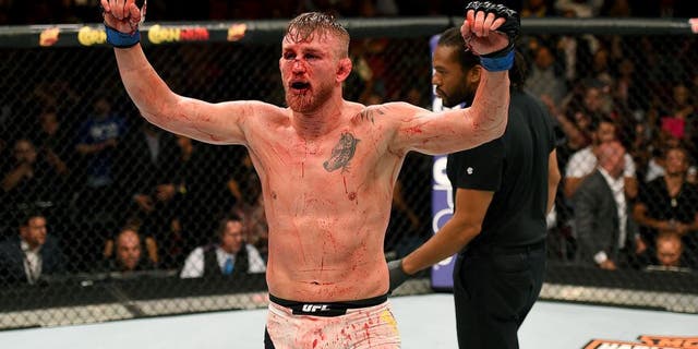 HOUSTON, TX - OCTOBER 03: Alexander Gustafsson raises his hands after facing Daniel Cormier in their UFC light heavyweight championship bout during the UFC 192 event at the Toyota Center on October 3, 2015 in Houston, Texas. (Photo by Josh Hedges/Zuffa LLC/Zuffa LLC via Getty Images)