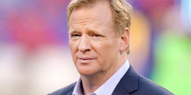 Sep 24, 2015; East Rutherford, NJ, USA; NFL commissioner Roger Goodell on the field before a game between the New York Giants and the Washington Redskins at MetLife Stadium. Mandatory Credit: Brad Penner-USA TODAY Sports