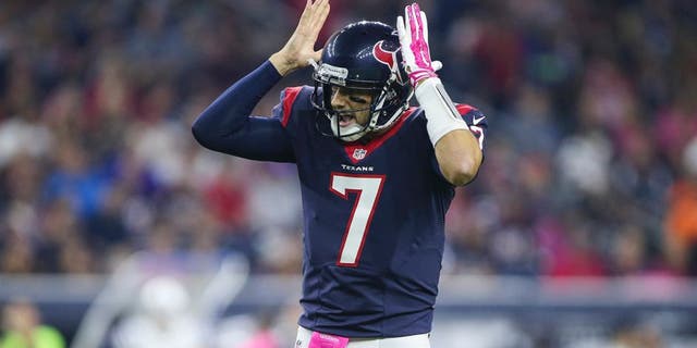 Oct 8, 2015; Houston, TX, USA; Houston Texans quarterback Brian Hoyer (7) reacts before a play during the second quarter against the Indianapolis Colts at NRG Stadium. Mandatory Credit: Troy Taormina-USA TODAY Sports