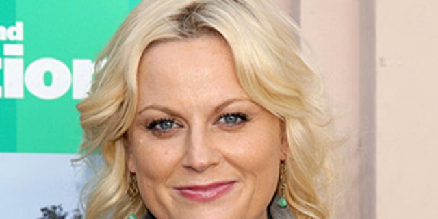 Actress Amy Poehler arrives at the 