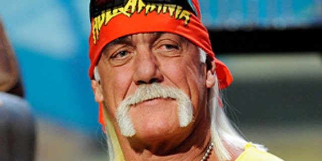 Hulk Hogan's plane had a difficult landing in Iceland that left its breaks and tires damaged.