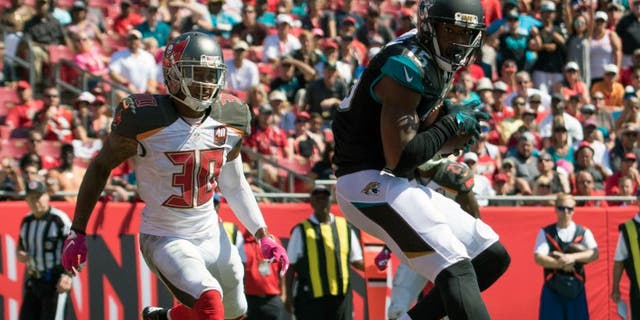 Oct 11, 2015; Tampa, FL, USA; Jacksonville Jaguars wide receiver Allen Robinson (15) scores a touchdown in the second quarter against Tampa Bay Buccaneers at Raymond James Stadium. Mandatory Credit: Logan Bowles-USA TODAY Sports