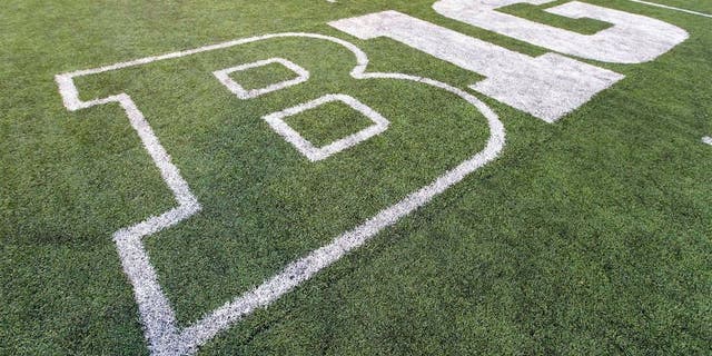 Oct 12, 2013; Madison, WI, USA; The Big Ten logo on the field at Camp Randall Stadium following the game between the Northwestern Wildcats and Wisconsin Badgers. Wisconsin won 35-6. Mandatory Credit: Jeff Hanisch-USA TODAY Sports