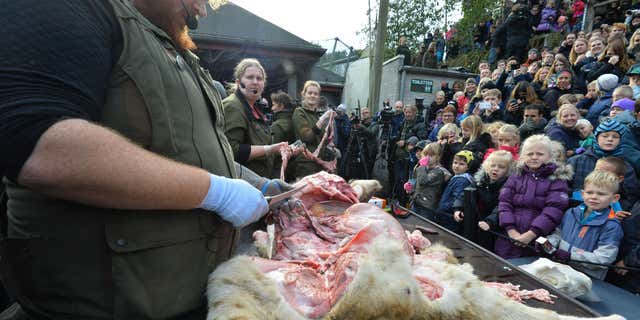 Oct. 15, 2015: Children watch the dissection of a dead male lion in Odense Zoo, Denmark.