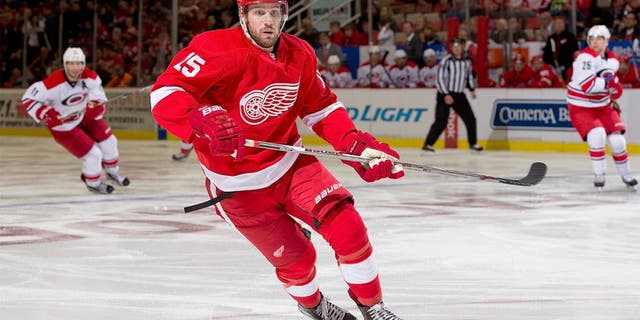 DETROIT, MI - OCTOBER 27: Riley Sheahan #15 of the Detroit Red Wings follows the play during an NHL game against the Carolina Hurricanes at Joe Louis Arena on October 27, 2015 in Detroit, Michigan. (Photo by Dave Reginek/NHLI via Getty Images)