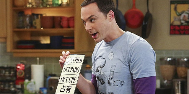 e6b72334-THE BIG BANG THEORY