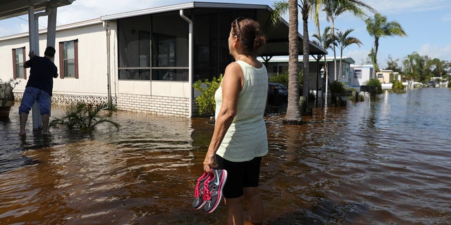 mon irma 10