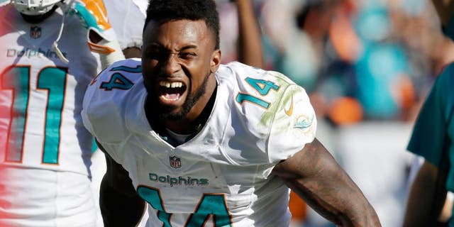 Miami Dolphins wide receiver Jarvis Landry (14) reacts after officials reversed a call and ruled that Landry scored a touchdown during the second half of an NFL football game against the San Diego Chargers, Sunday, Nov. 2, 2014, in Miami Gardens, Fla. (AP Photo/Lynne Sladky)