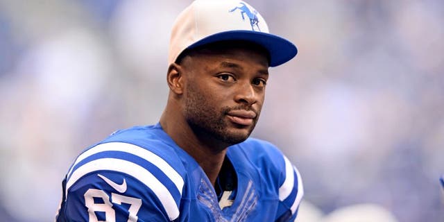 Sep 28, 2014; Indianapolis, IN, USA; Indianapolis Colts wide receiver Reggie Wayne (87) on the sidelines during the fourth quarter against the Tennessee Titans at Lucas Oil Stadium. Colts defeated the Titans 41-17. Mandatory Credit: Andrew Weber-USA TODAY Sports