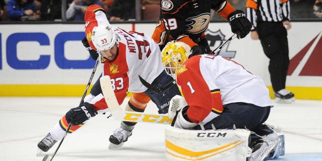 November 4, 2015; Anaheim, CA, USA; Florida Panthers defenseman Willie Mitchell (33) helps goalie Roberto Luongo (1) defend the goal against Anaheim Ducks right wing Chris Stewart (29) during the second period at Honda Center. Mandatory Credit: Gary A. Vasquez-USA TODAY Sports