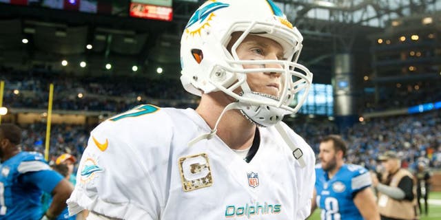 Nov 9, 2014; Detroit, MI, USA; Miami Dolphins quarterback Ryan Tannehill (17) after the game against the Detroit Lions at Ford Field. Detroit won 20-16. Mandatory Credit: Tim Fuller-USA TODAY Sports