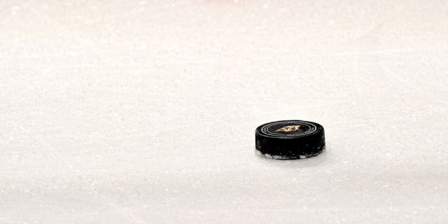 NASHVILLE, TN - MARCH 01: A Nashville Predators game puck rests on the ice during a game against the Winnipeg Jets at Bridgestone Arena on March 1, 2014 in Nashville, Tennessee. (Photo by Frederick Breedon/Getty Images)