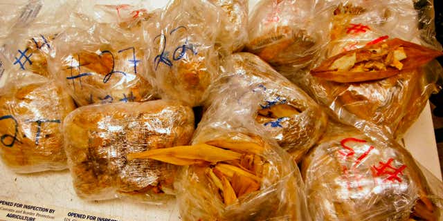 Nov. 2, 2015: This undated photo released by the U.S. Customs and Border Protection (CBP) shows seized 450 prohibited pork meat tamales discovered inside the luggage of a passenger arriving at the Los Angeles International Airport (LAX) from Mexico in Los Angeles.
