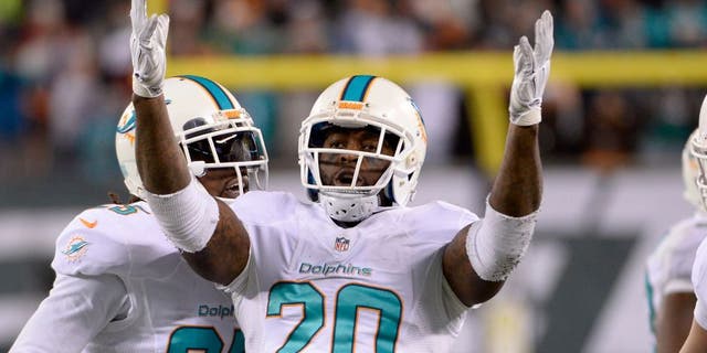 Dec 1, 2014; East Rutherford, NJ, USA; Miami Dolphins strong safety Reshad Jones (20) celebrates after making an interception with under a minute left against the New York Jets at MetLife Stadium. Mandatory Credit: Robert Deutsch-USA TODAY Sports
