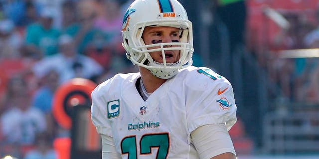 Dec 7, 2014; Miami Gardens, FL, USA; Miami Dolphins quarterback Ryan Tannehill (17) holds the football during the second half against the Baltimore Ravens at Sun Life Stadium. Ravens won 28-13. Mandatory Credit: Steve Mitchell-USA TODAY Sports