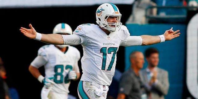 Dec 15, 2013; Miami Gardens, FL, USA: Miami Dolphins quarterback Ryan Tannehill (17) reacts after a touchdown pass in the fourth quarter against the New England Patriots at Sun Life Stadium. The Dolphins won 24-20. Mandatory Credit: Robert Mayer-USA TODAY Sports