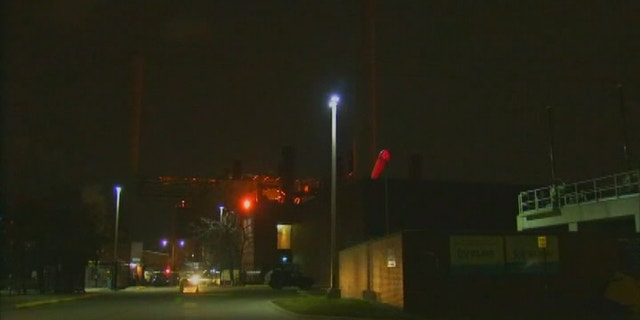 At least two other objects, thought to be kidneys, were found in separate incidents in Detroit wastewater plant.