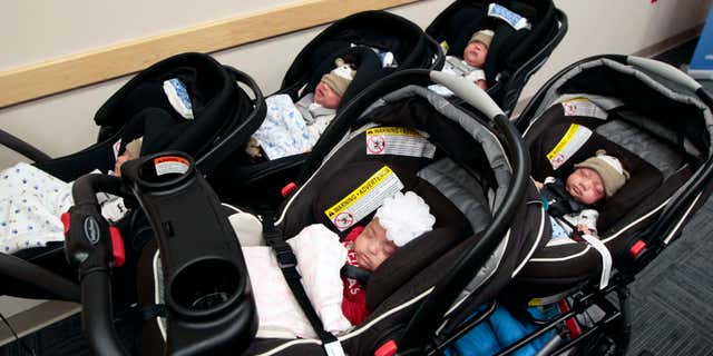In this Dec. 24, 2015 photo, the Dela Cruz quintuplets, back row from left, Kapena, Kupono, Kaolu, Kamalii (only girl, front left) and Keahi wait in their strollers to go home together for the first time at Kapiolani Medical Center in Honolulu.