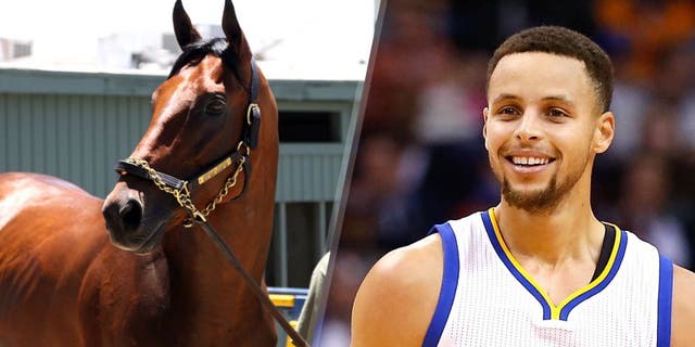 ARCADIA, CA - JUNE 18: American Pharoah in portrait at Santa Anita Park, Race Track at June 18, 2015 (Photo by Cecilia Gustavsson /Getty Images) PHOENIX, AZ - NOVEMBER 27: Stephen Curry #30 of the Golden State Warriors during the NBA game against the Phoenix Suns at Talking Stick Resort Arena on November 27, 2015 in Phoenix, Arizona. The Warriors defeated the Suns 135-116. NOTE TO USER: User expressly acknowledges and agrees that, by downloading and or using this photograph, User is consenting to the terms and conditions of the Getty Images License Agreement. (Photo by Christian Petersen/Getty Images)
