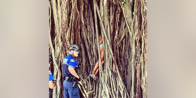 A woman became stuck inside a banyan tree.