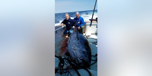 Chambers said that the bluefin is the biggest fish he's ever caught.
