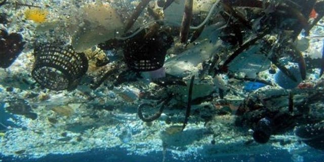 A "floating" island of trash dubbed the Great Pacific Garbage Patch (GPGP) now stretches 600,000 square miles.