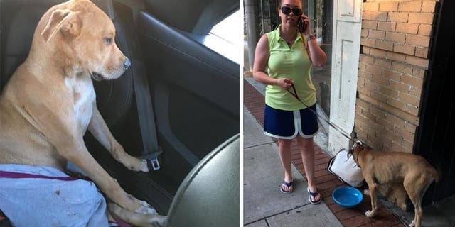 Shaw told Ledger-Enquirer she called her husband and said “I’m saving this dog – he’s bleeding and broken and I’m not leaving him.”