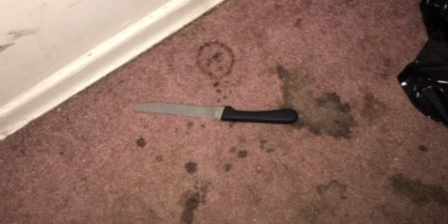 A woman in the Queens borough of New York City was fatally shot on Monday night after police allege she "lunged" at two officers with a 10-inch knife.