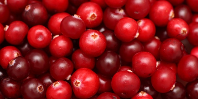 Cranberries close-up.