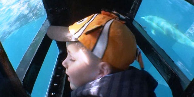 Boy in Eye to Eye Underwater Viewing Pod during Captain Dave's Dolphin and Whale Watching Safari